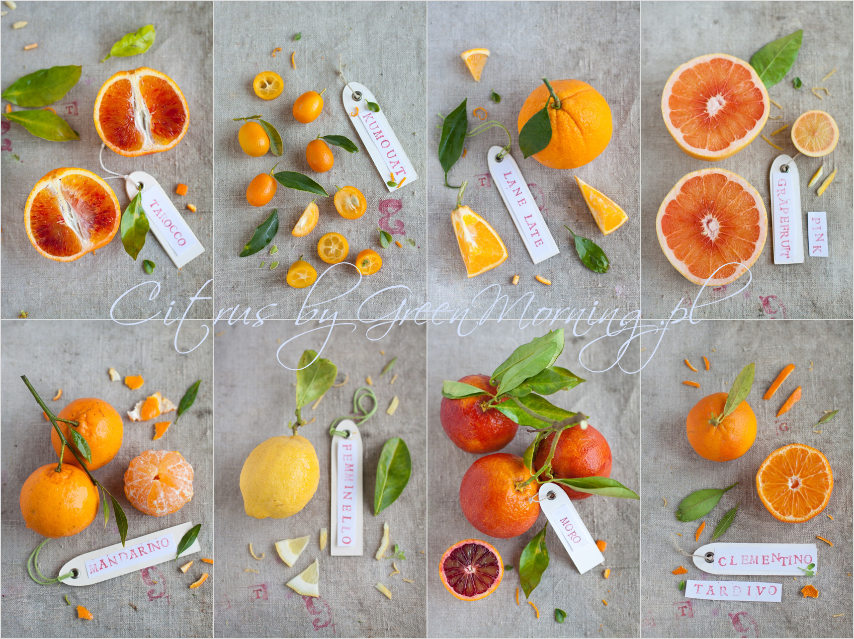 different citrus fruits , odmiany cytrusów pomarańczy